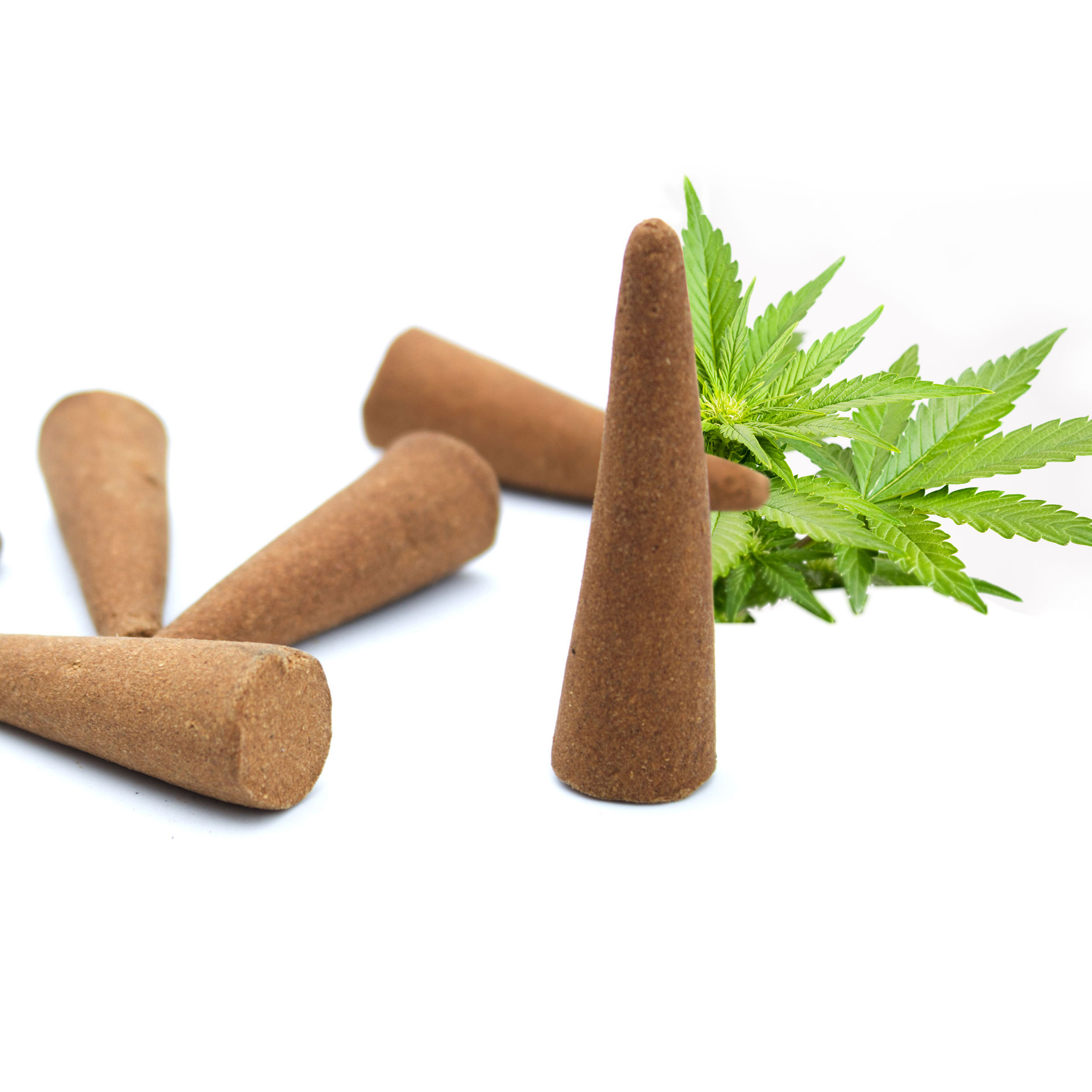 XXL Räucherkegel 25 Stück - Cannabis (LX2315-XXL)