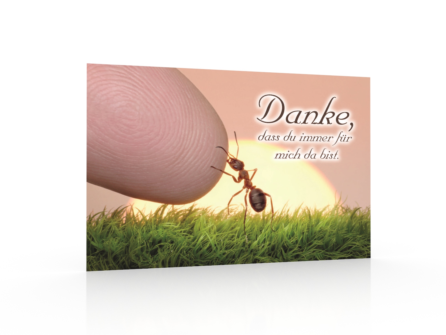 Inspirationskarte "Danke" (IK-AMEISE)