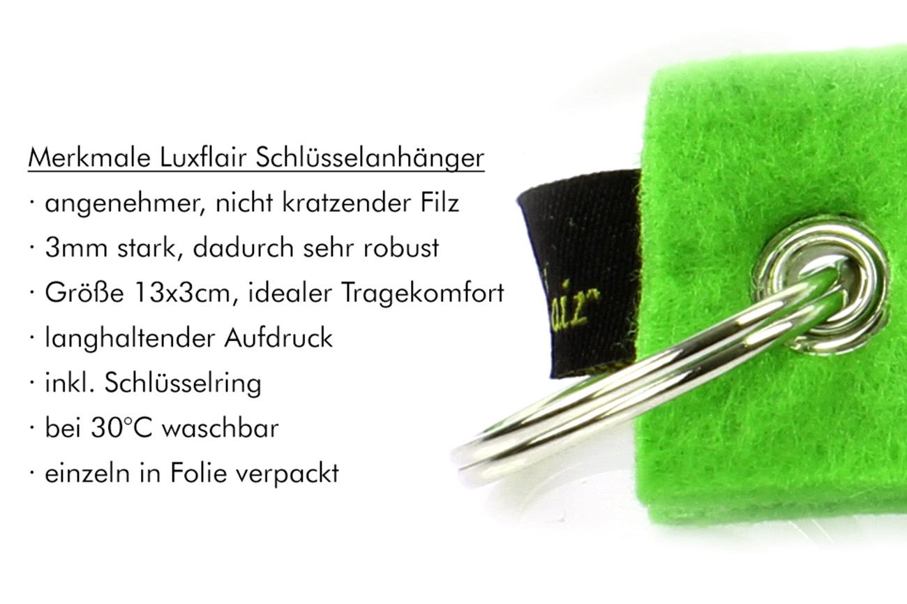 Filz Schlüsselanhänger Glücksbringer mit Kleeblatt (LX1498)