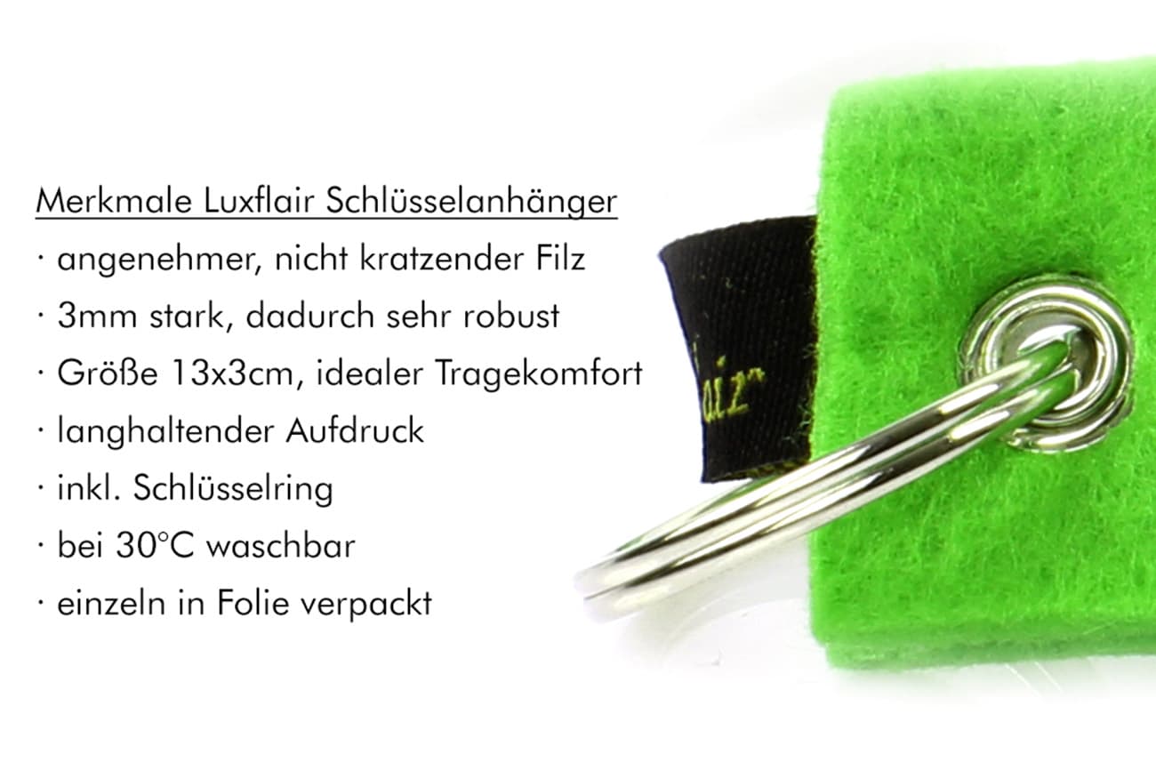 Filz Schlüsselanhänger Glücksbringer mit Kleeblatt (LX1498)