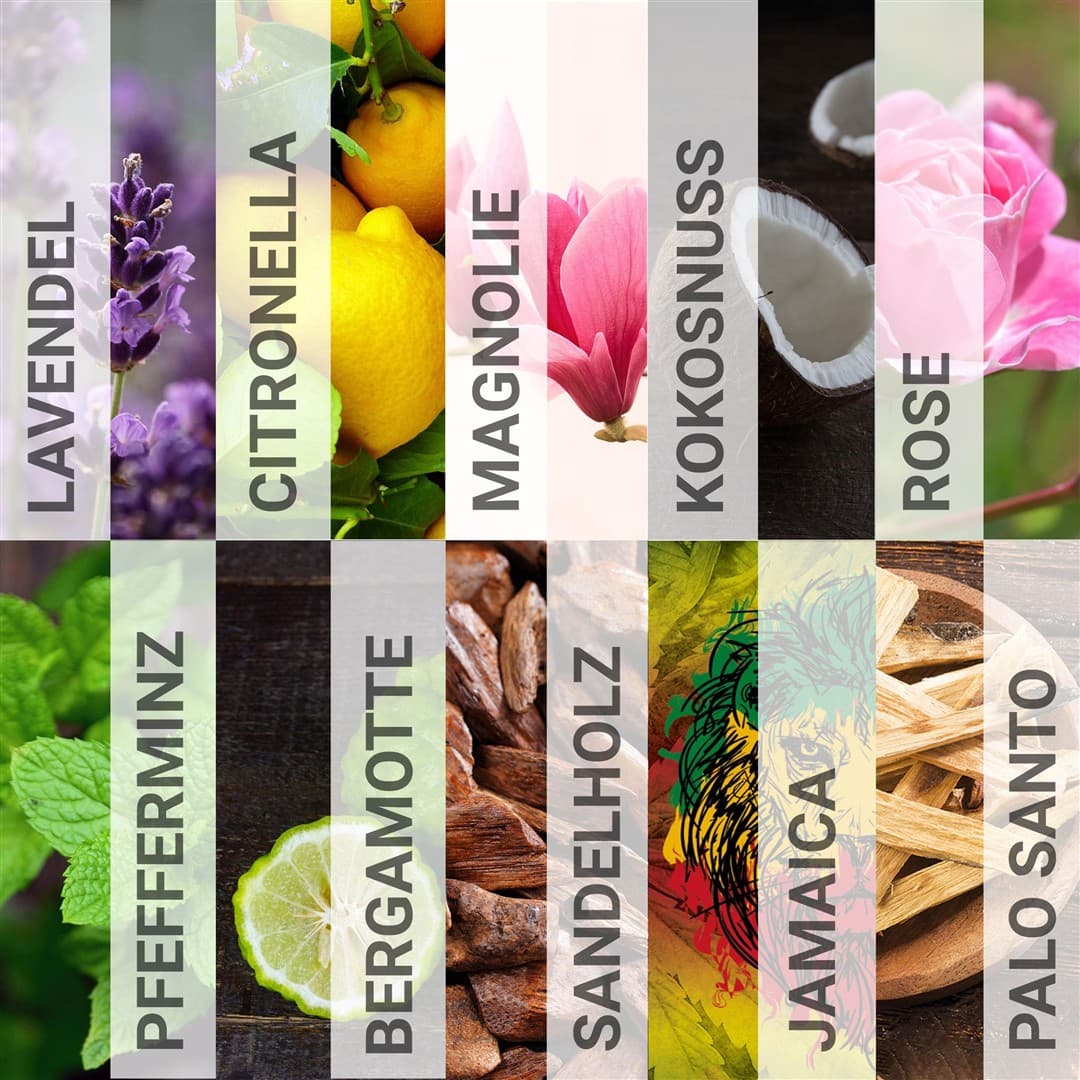 Incense cone set 10 packs - Summer